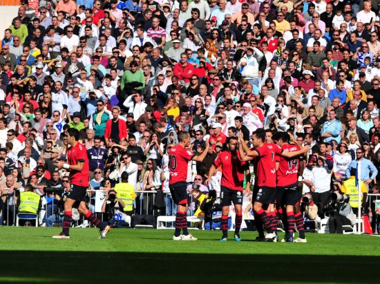 最有韧性的 最有韧性的